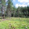 images/Schweden/Schweden 2009/IMG_4454.jpg